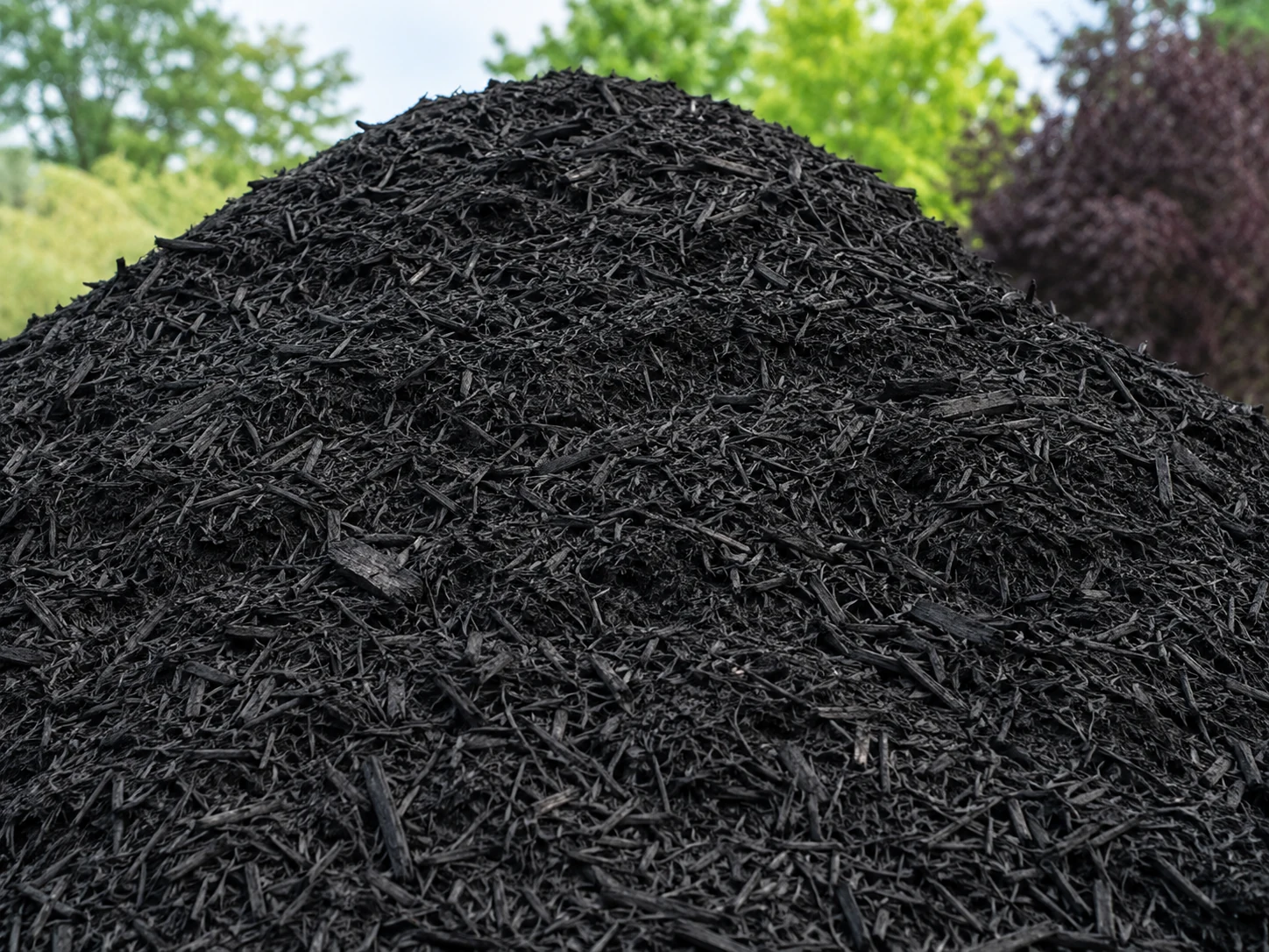 Black mulch
